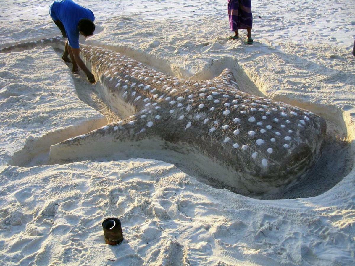 Dharavandhoo Stay Ngoại thất bức ảnh